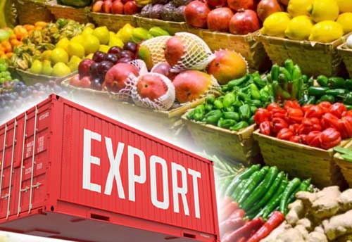 about Dhaani Exports